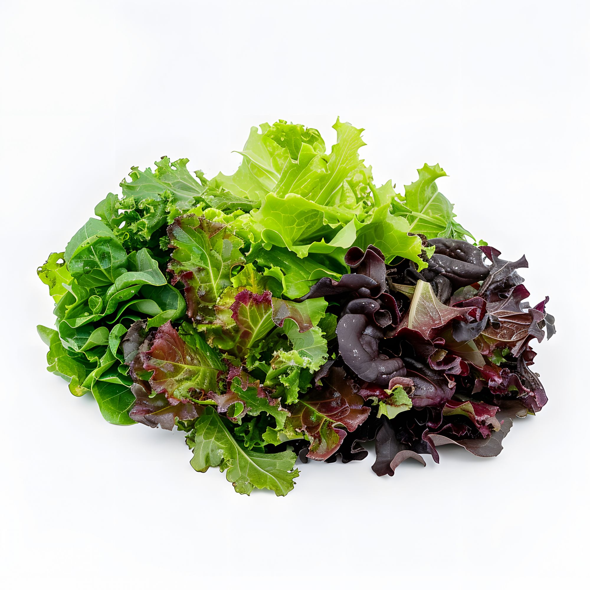 Chopped Lollo mix- 100gm pack