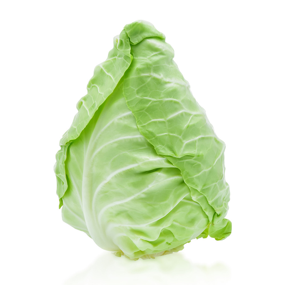 Rootz Organics Pointed Cabbage 350-400g — Sweet Hispi (Sweetheart) Cabbage, Air-Flown from Spain