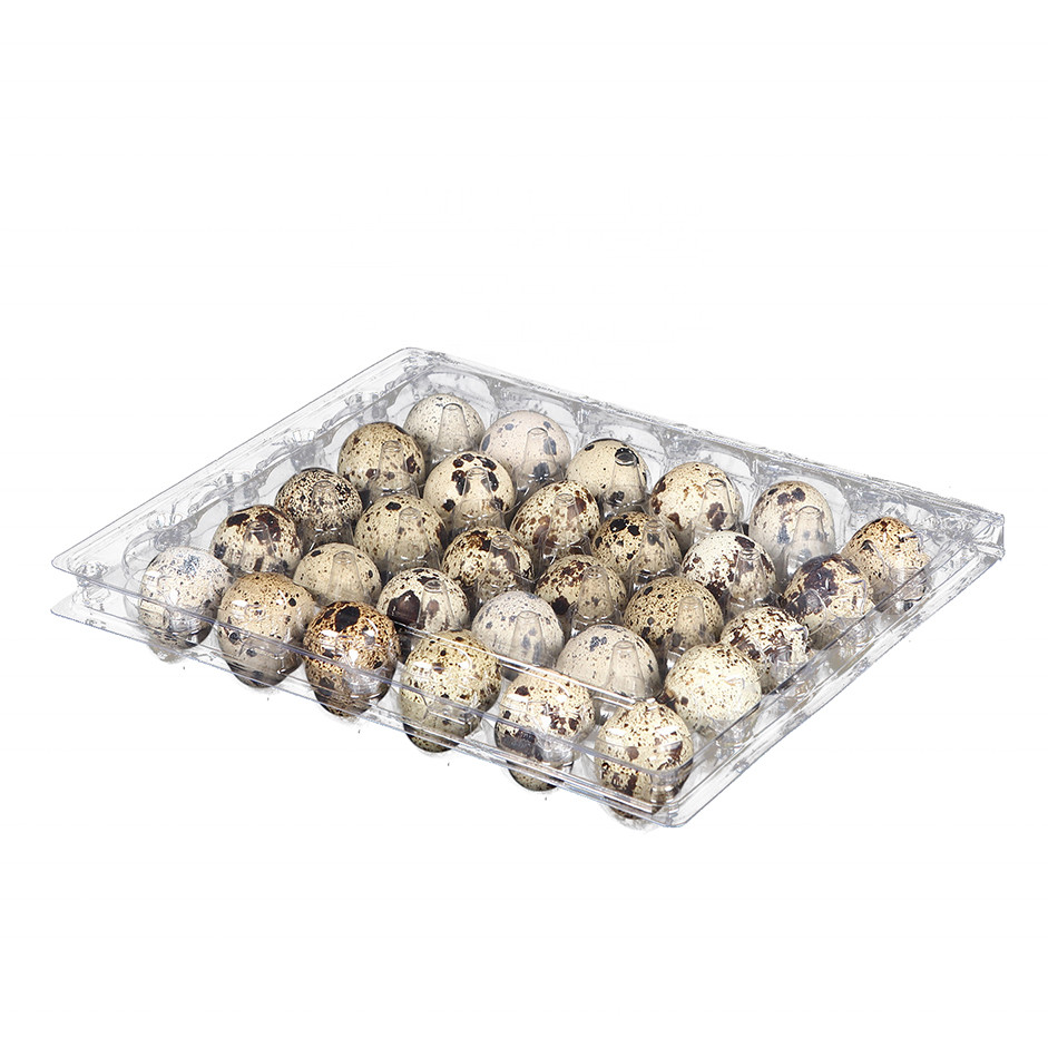 Fresh Quail Eggs – 30 Pieces Box | Protein-Rich & Nutrient Dense