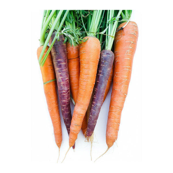 Image of RAINBOW CARROT 500gm (locally grown) without leaves