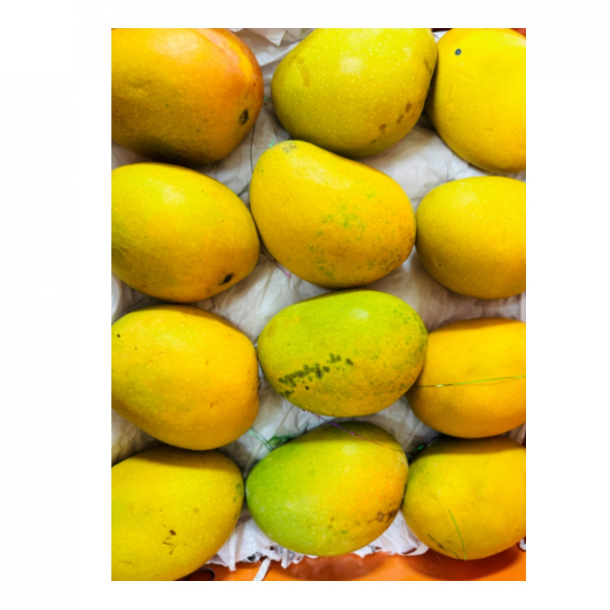 Premium Natural Alphonso Mangoes - (Box of 12)