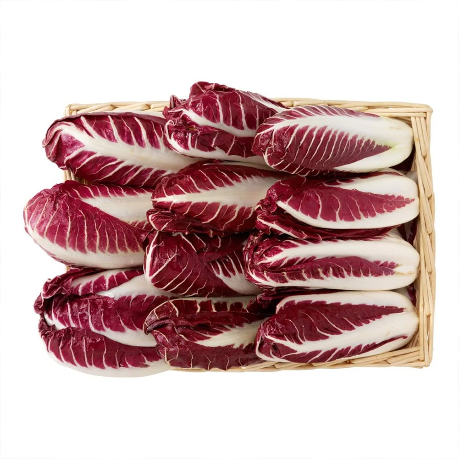 Rootz Organics Red Chicory (Radicchio / Witloof Rosso) 1kg — Netherlands · Prebiotic Powerhouse · Bitter & Beautiful