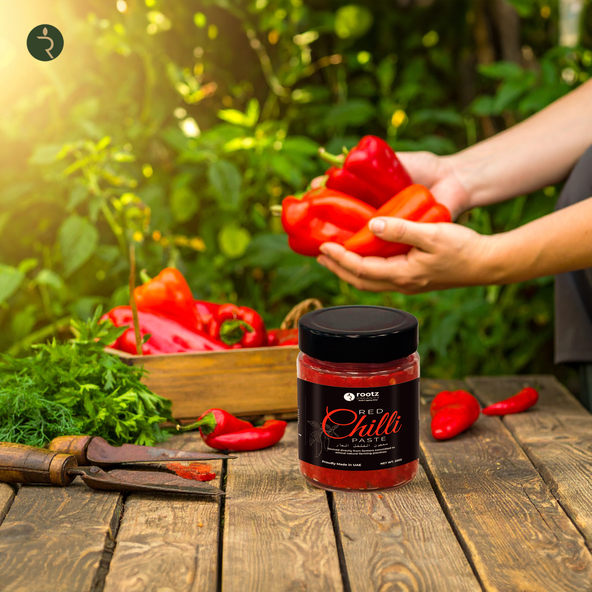 Premium Sun-Dried Red Chilli Paste 250g – Authentic Spicy Flavor | UAE