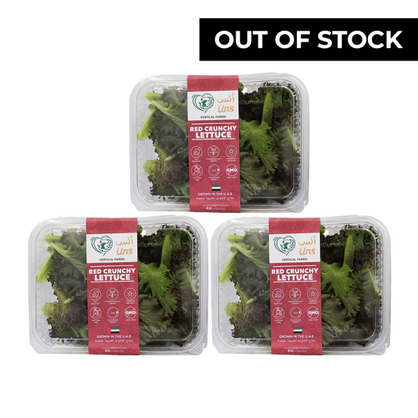 Image of Red Crunchy Lettuce 100gm,  Pack of - 3 P by Rootz Organics