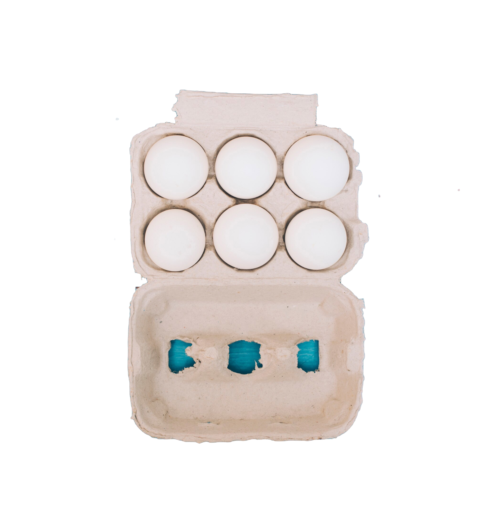 Chicken Eggs 6pcs