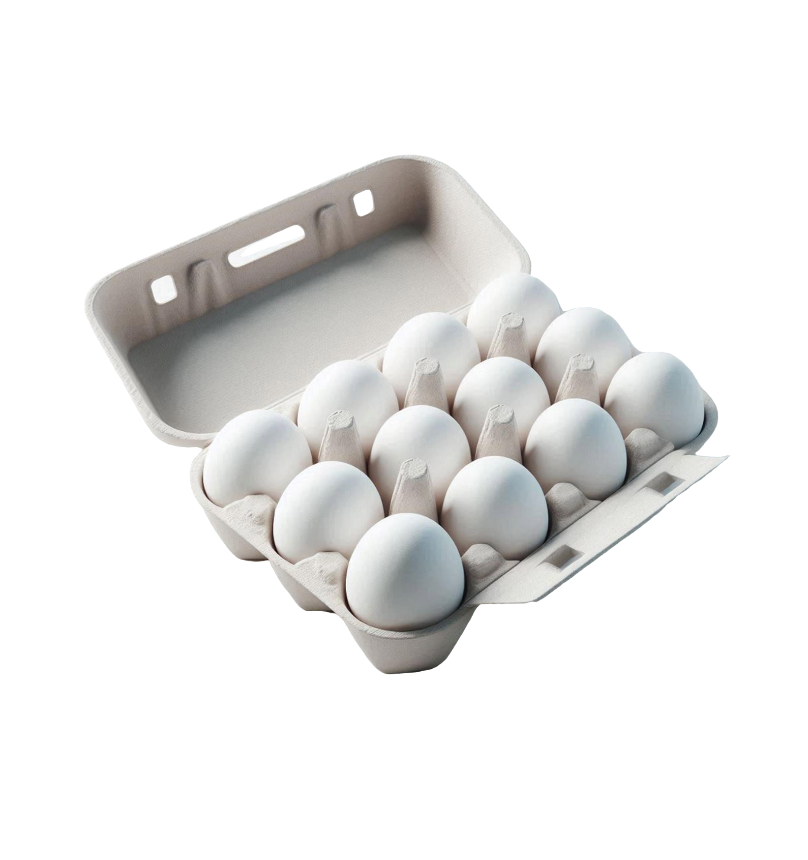 Organic Free Range Large Chicken Eggs 12 pcs