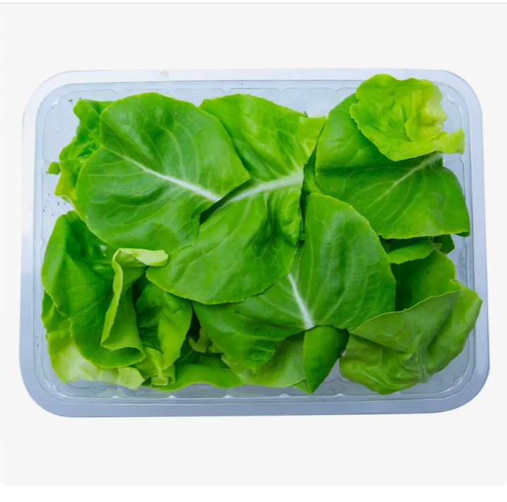 Chopped butterhead lettuce- 250gm pack