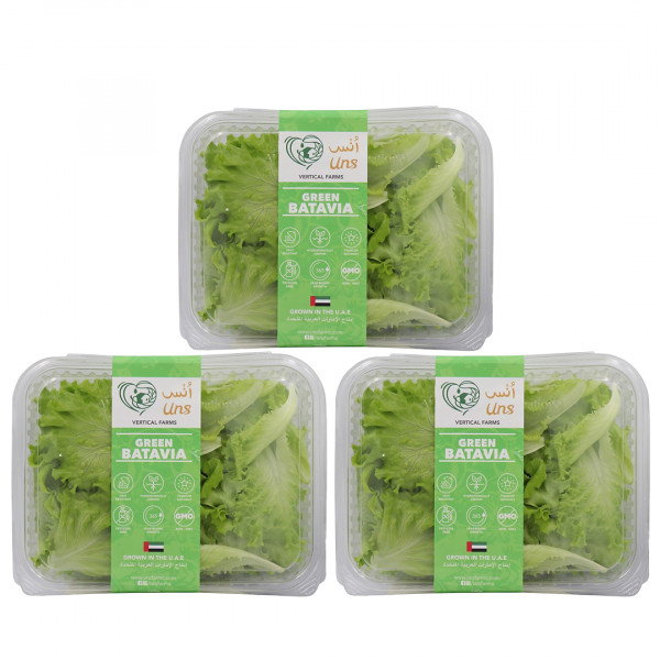 Image of Green Batavia Lettuce 100gm , Pack of - 3  by Rootz Organics