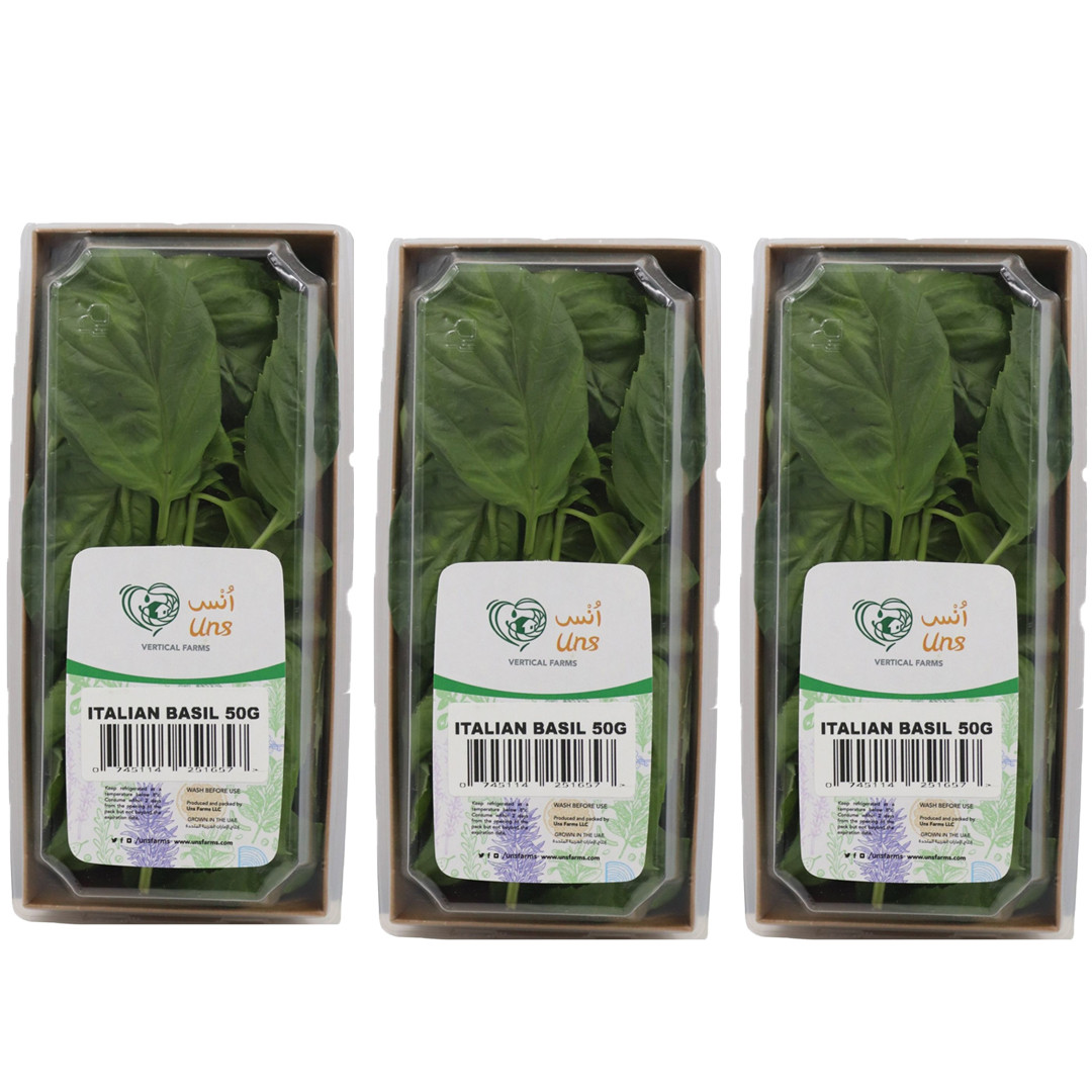 Italian Basil 50gm ,Pack of - 3  by Rootz Organics
