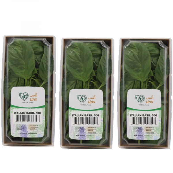 Image of Italian Basil 50gm ,Pack of - 3  by Rootz Organics