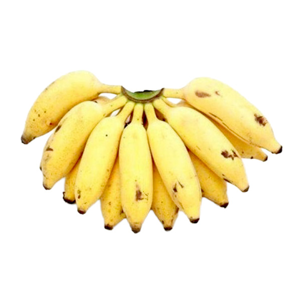 Image of Small Banana (12 Pcs)