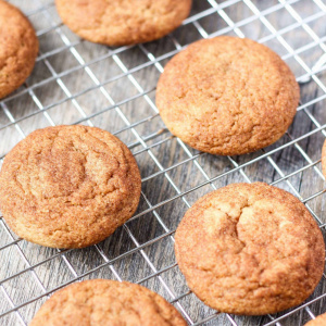 Image of G/F Snickerdoodle Cookies 300 g  by Rootz Organics