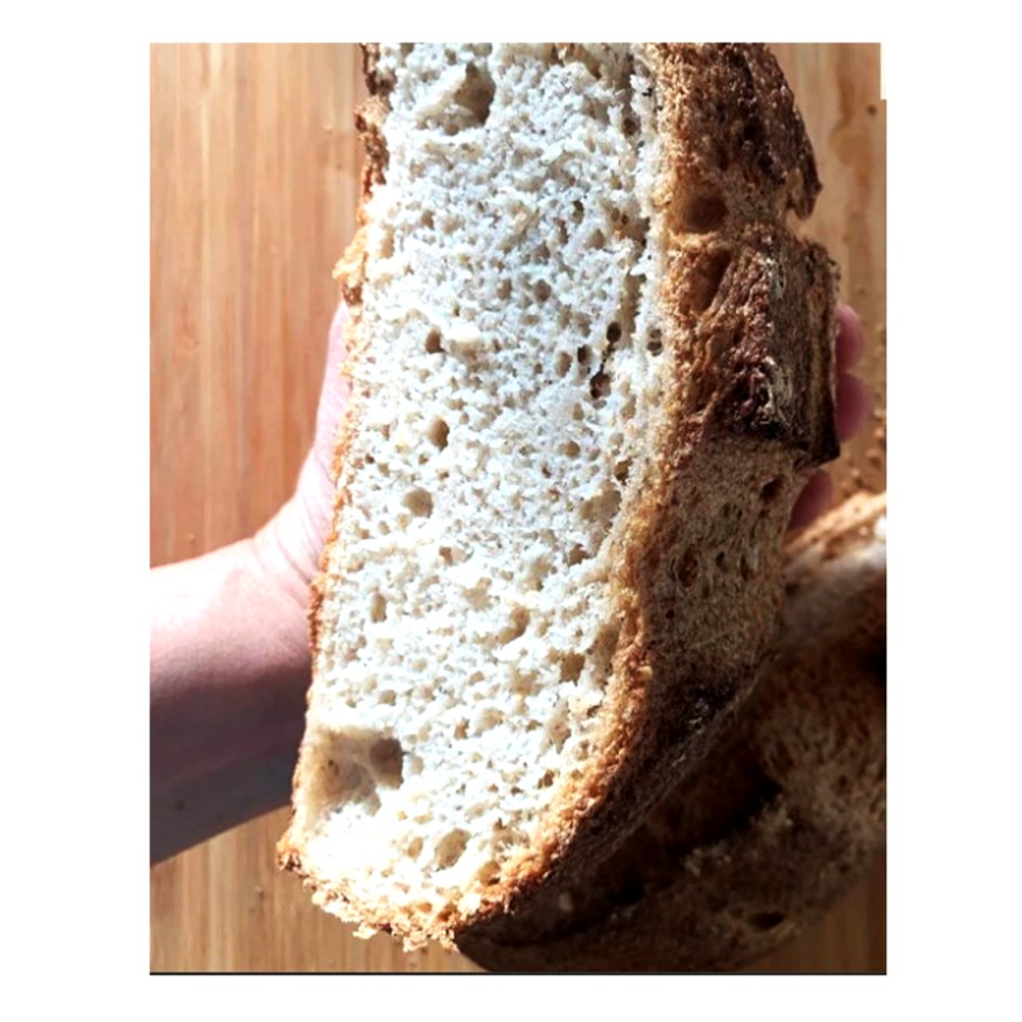 Sourdough Oat Boule - Large (700gm)