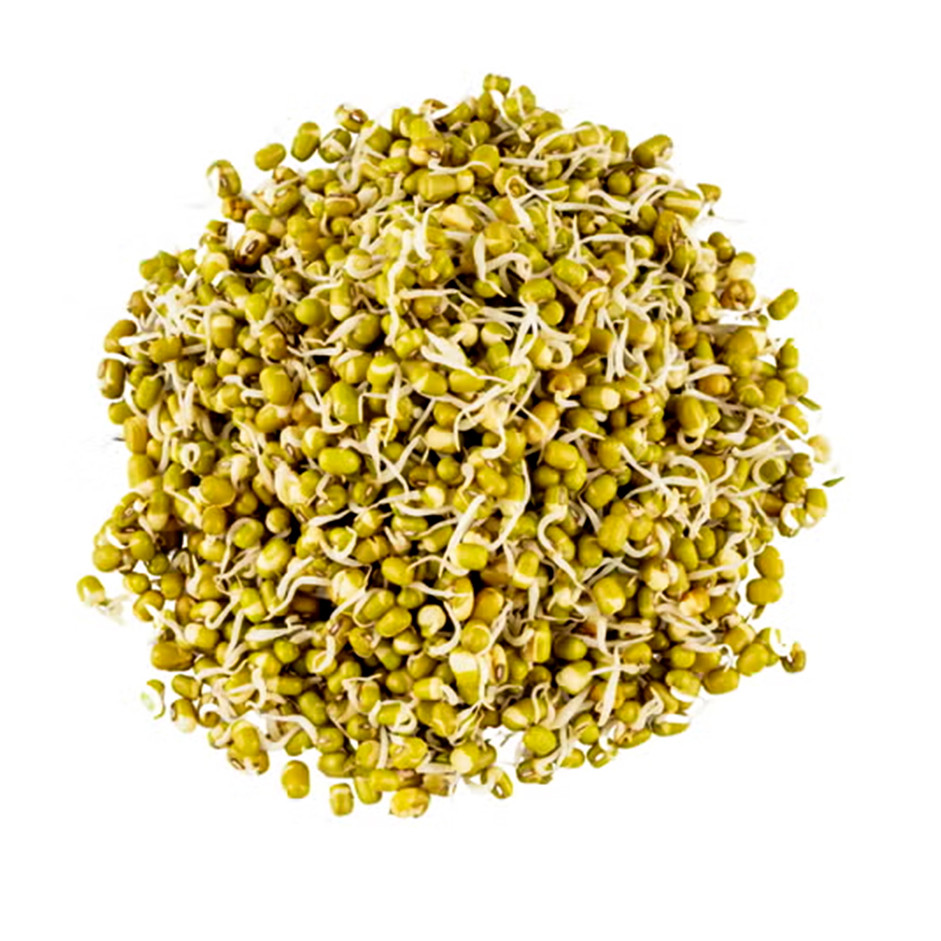 Rootz Fresh Green Gram Sprouts 200g – Protein Rich Moong Sprouts for Salads & Healthy Meals