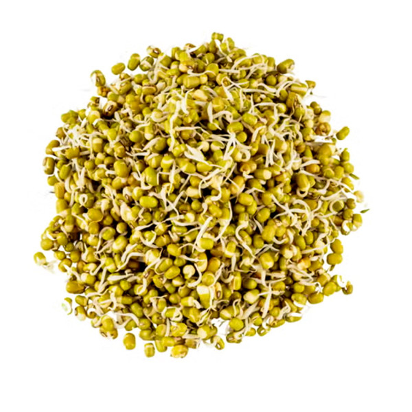 Image of Rootz Fresh Green Gram Sprouts 200g – Protein Rich Moong Sprouts for Salads &amp; Healthy Meals
