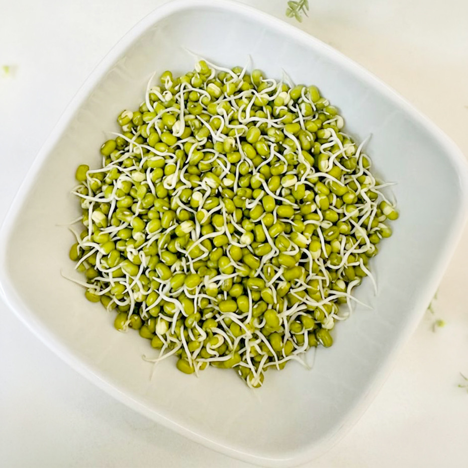 Rootz Fresh Green Gram Sprouts 100g – Protein Rich Moong Sprouts for Salads & Healthy Meals