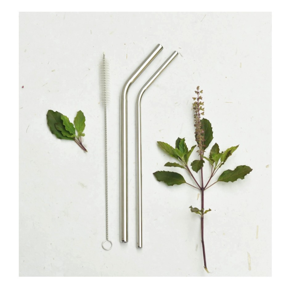 Stainless Steel Straws/ Chunky & Bent / Steel