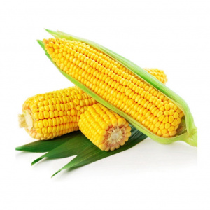 Image of Sweet Corn 1kg
