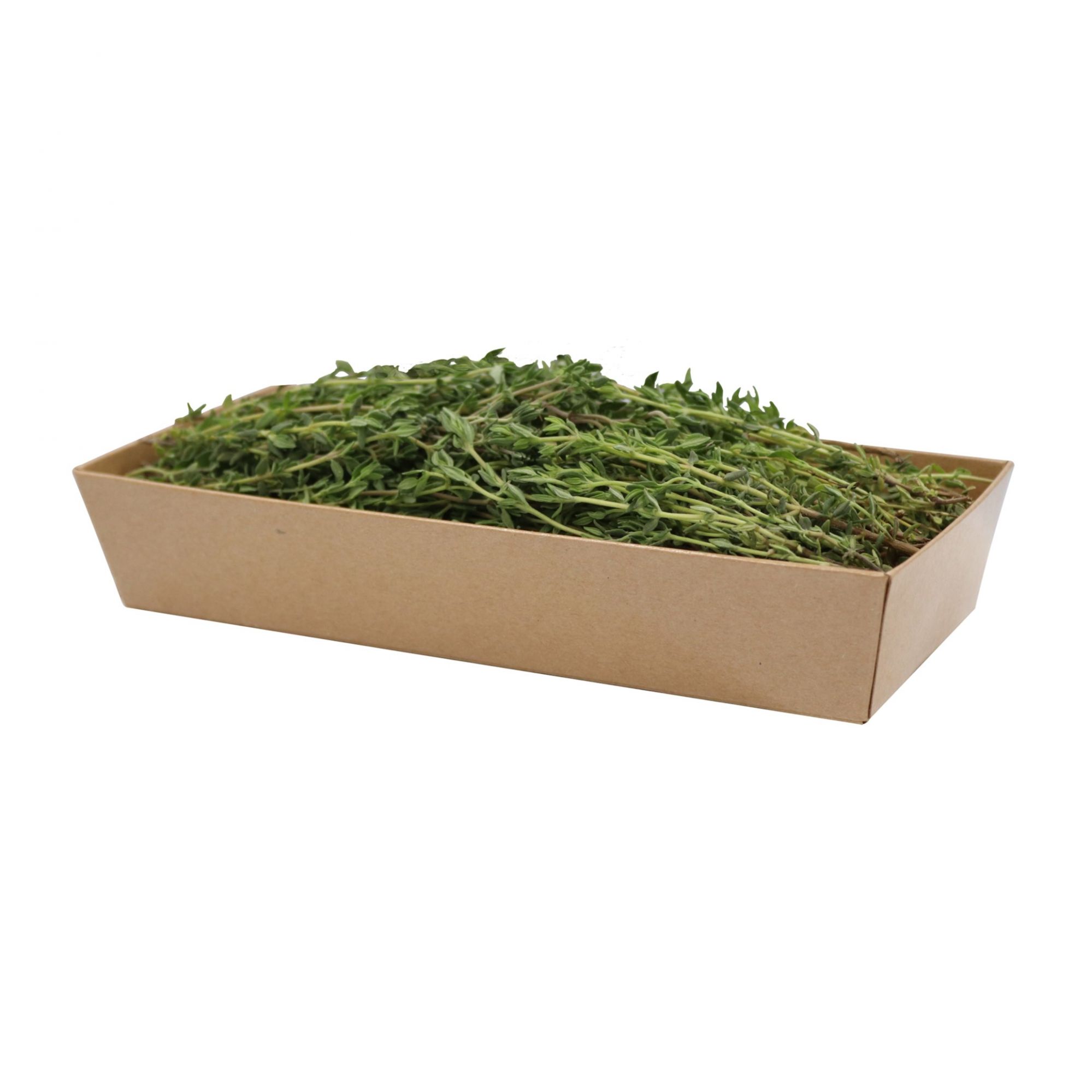 Thyme 50gm , Pack of - 3 by Rootz Organics