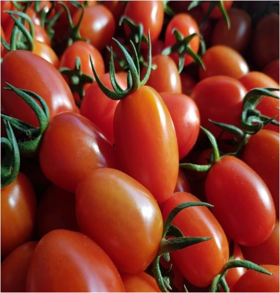 Organic Cherry Plum Tomatoes 250g by Rootz Organic