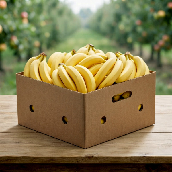 Image of Organic Banana Box-13kg