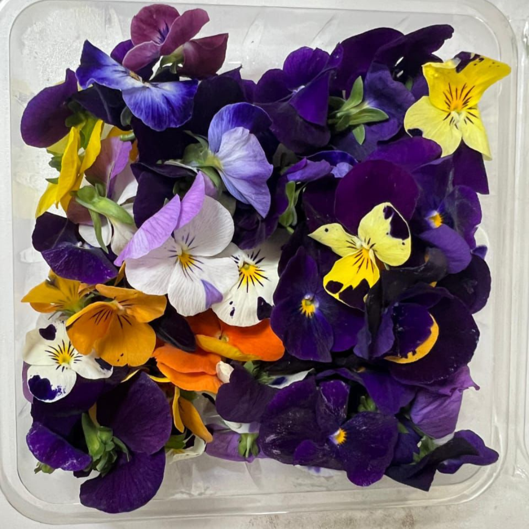 EDIBLE FLOWERS VIOLA MIX- 25 flowers pack