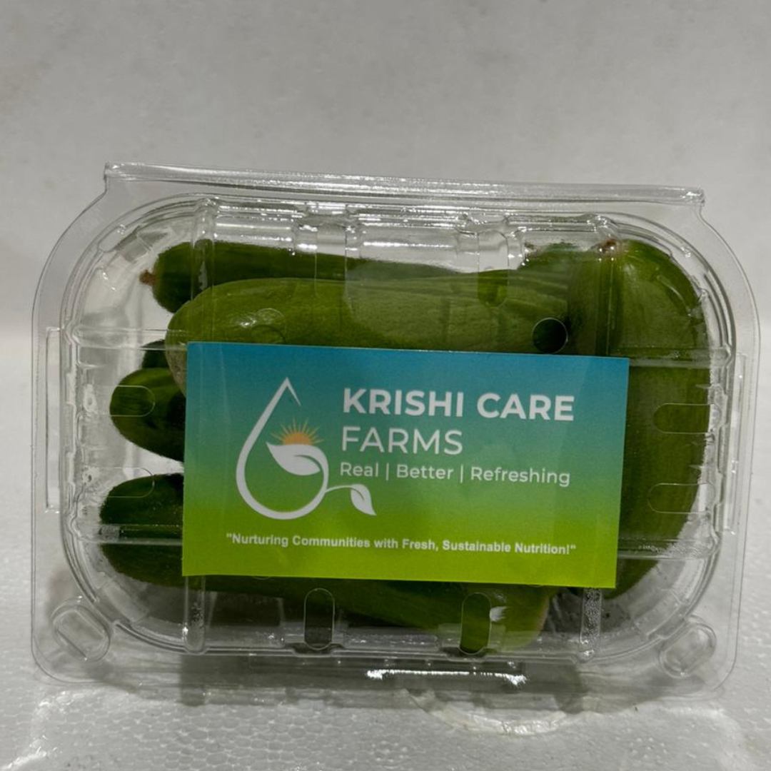 SNACK CUCUMBERS (baby cucumbers)- 250gm pack