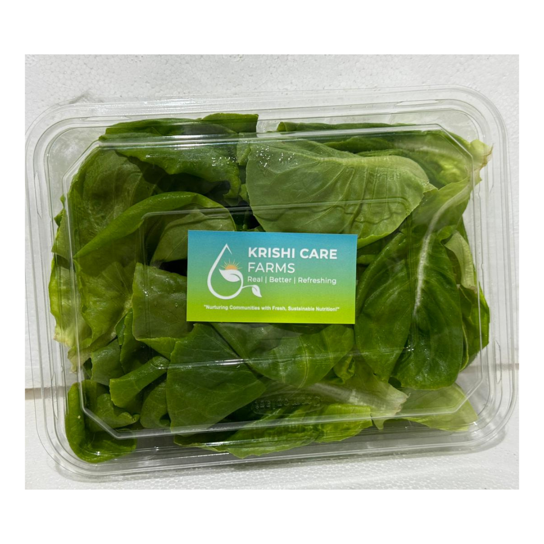 Chopped butterhead lettuce- 250gm pack