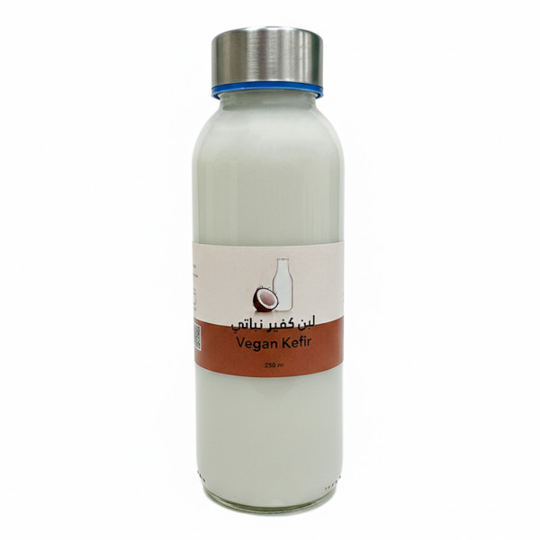 Image of Vegetable Kefir – Probiotic Fermented Coconut Milk - 250g