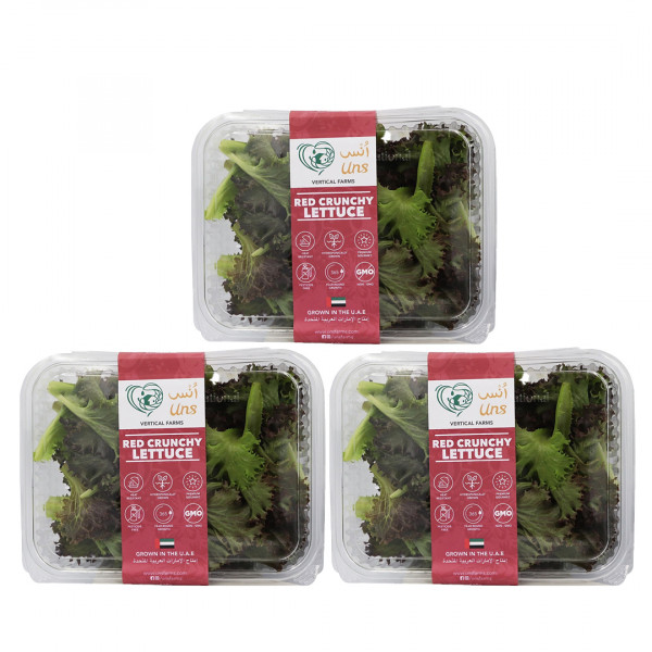 Image of Red Crunchy Lettuce 100gm,  Pack of - 3 P by Rootz Organics