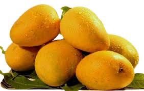 Image of Kesar Mangoes - Box of 12