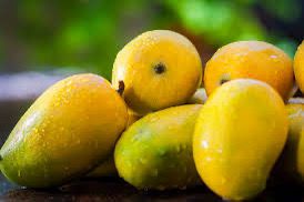 Kesar Mangoes - Box of 12