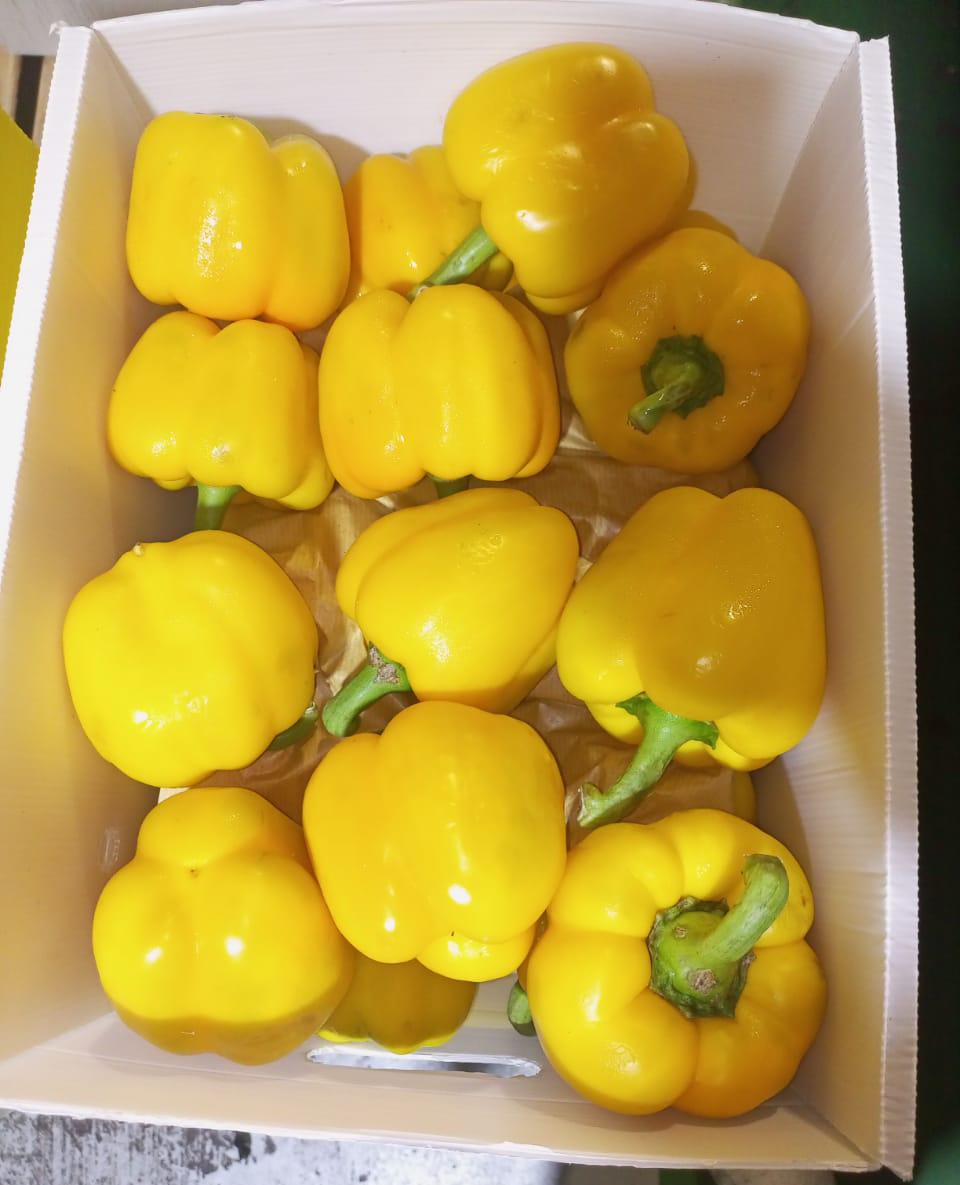 Yellow Capsicum- 500gm