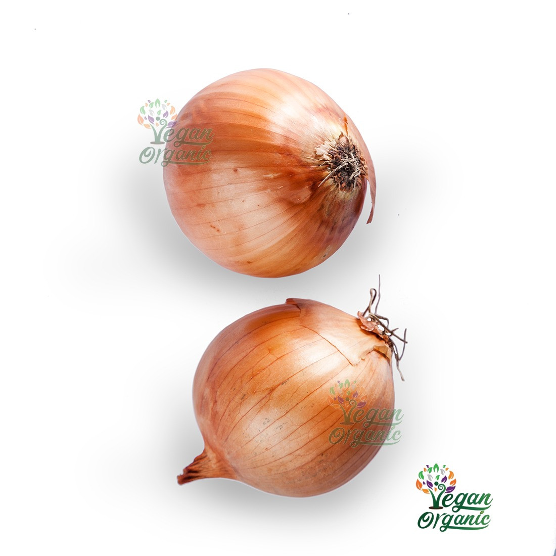 Organic Brown Onion 500G