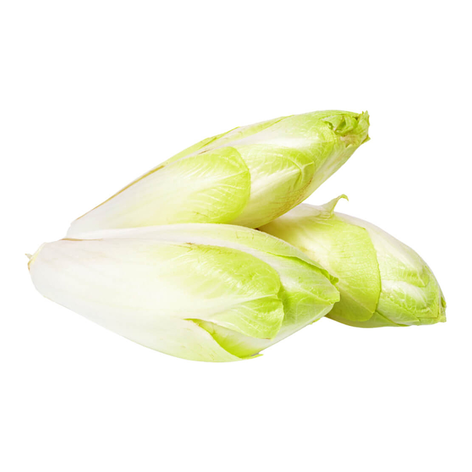 Rootz Organics White Chicory 500g — Belgian Endive (Witloof), Air-Flown from Holland