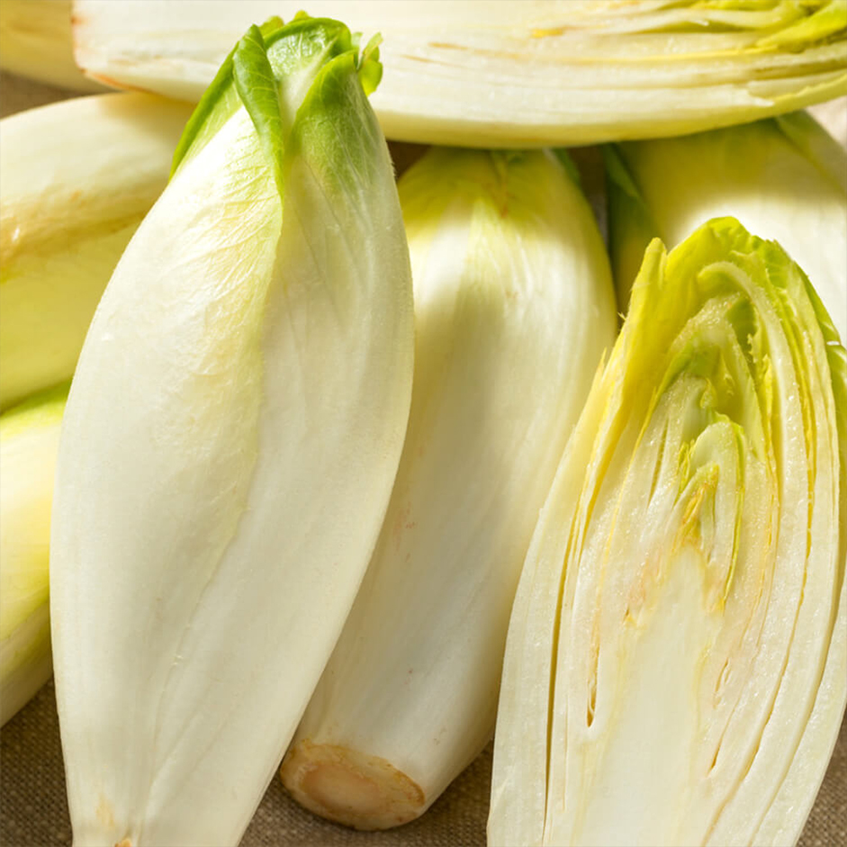 Rootz Organics White Chicory 500g — Belgian Endive (Witloof), Air-Flown from Holland