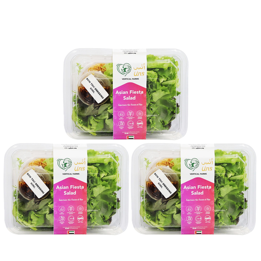 Asian Fiesta Salad 190gm - PACK OF 3 by Rootz Organics