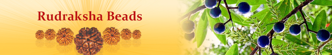 Rudraksha Beads