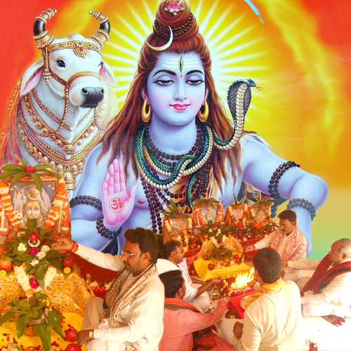 Online Holy Pujas