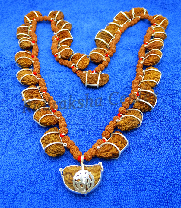 One 1 Mukhi Rudraksha Mala