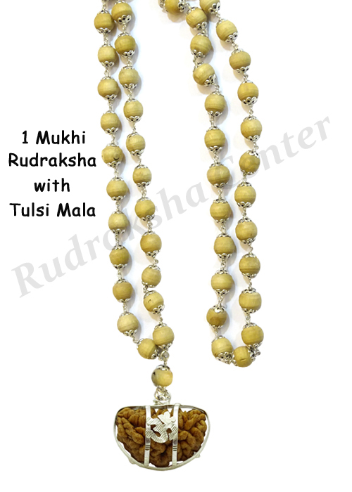 One Mukhi Rudraksha with Tulsi Mala