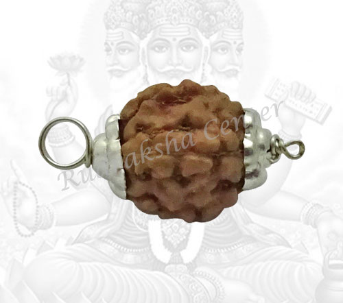 4 Mukhi Rudraksha Indonesian
