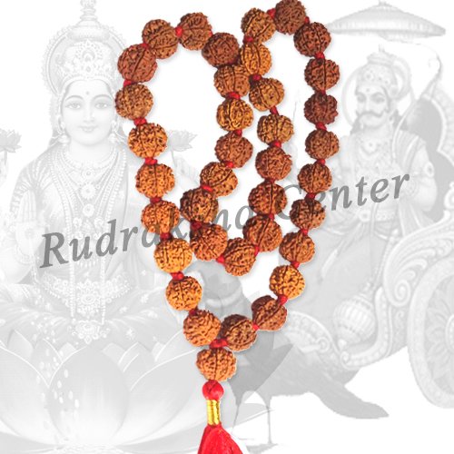 Mula Raksha Six Mukhi Rudraksha Malas, 6 faced Rudraksha Mala, Rudraksha Malas