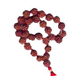 Eight 8 Mukhi Rudraksha Mala