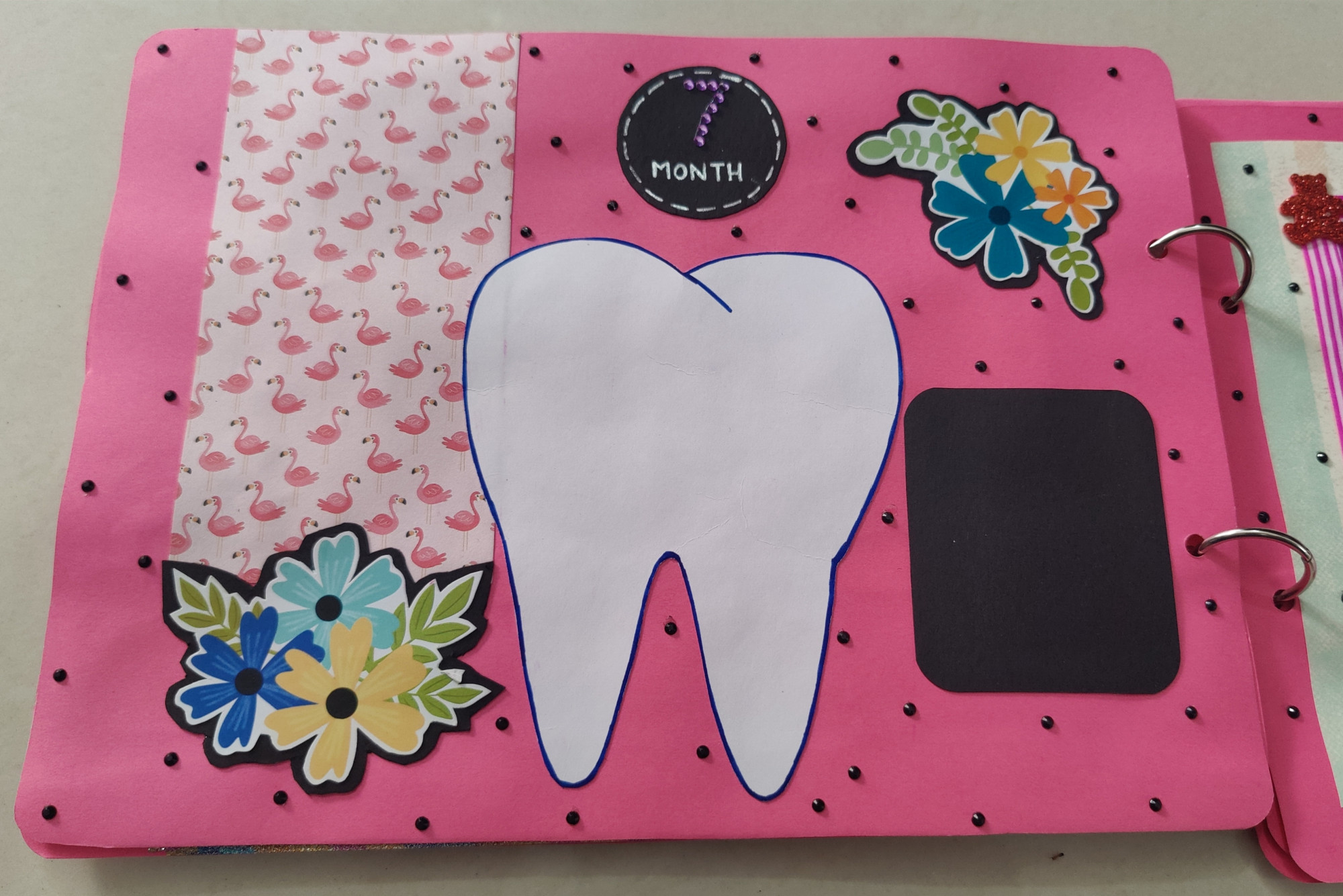 Newborn to 12 Months - Baby Girl