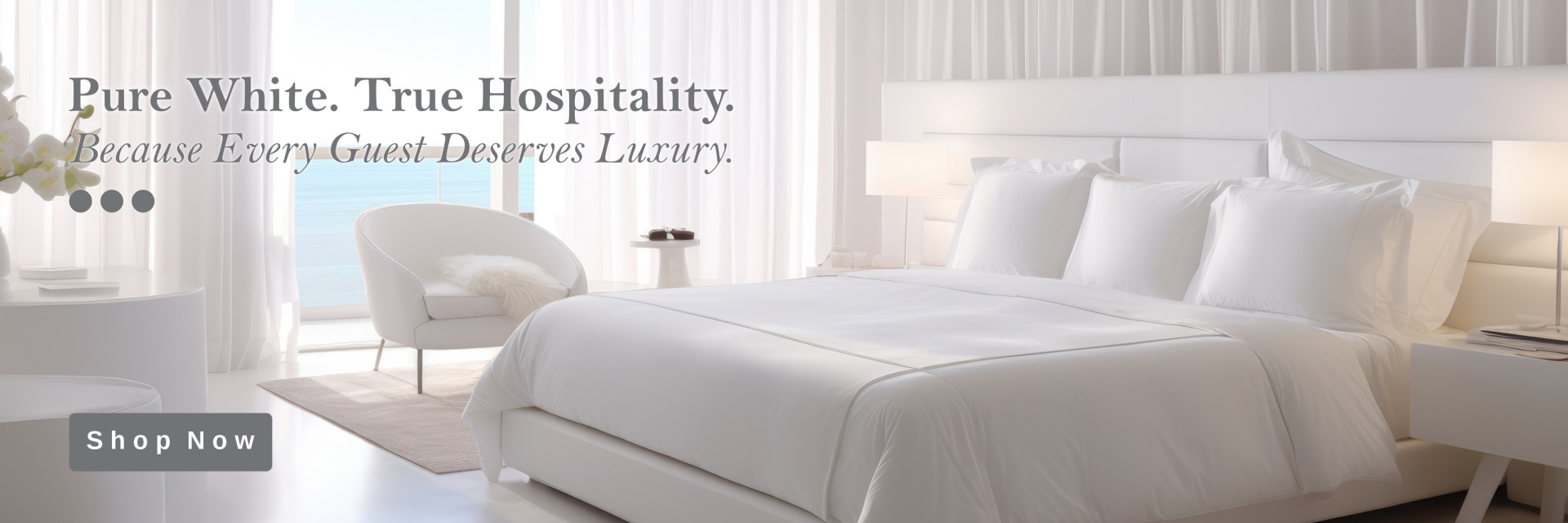 Hotel &amp; Hospitality