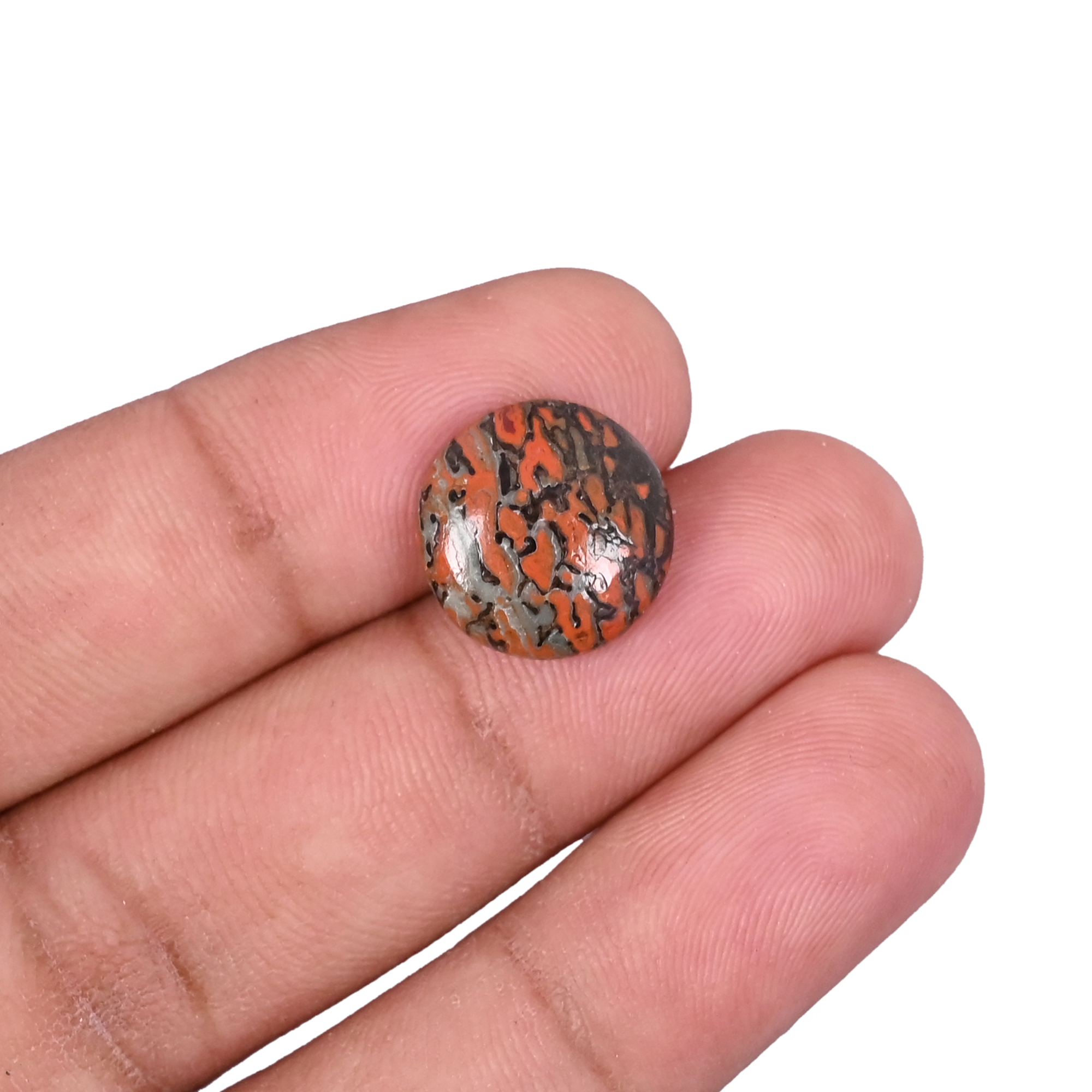 Dinosaur Bone 64 Carat 14mm Round Shape Loose Gemstone