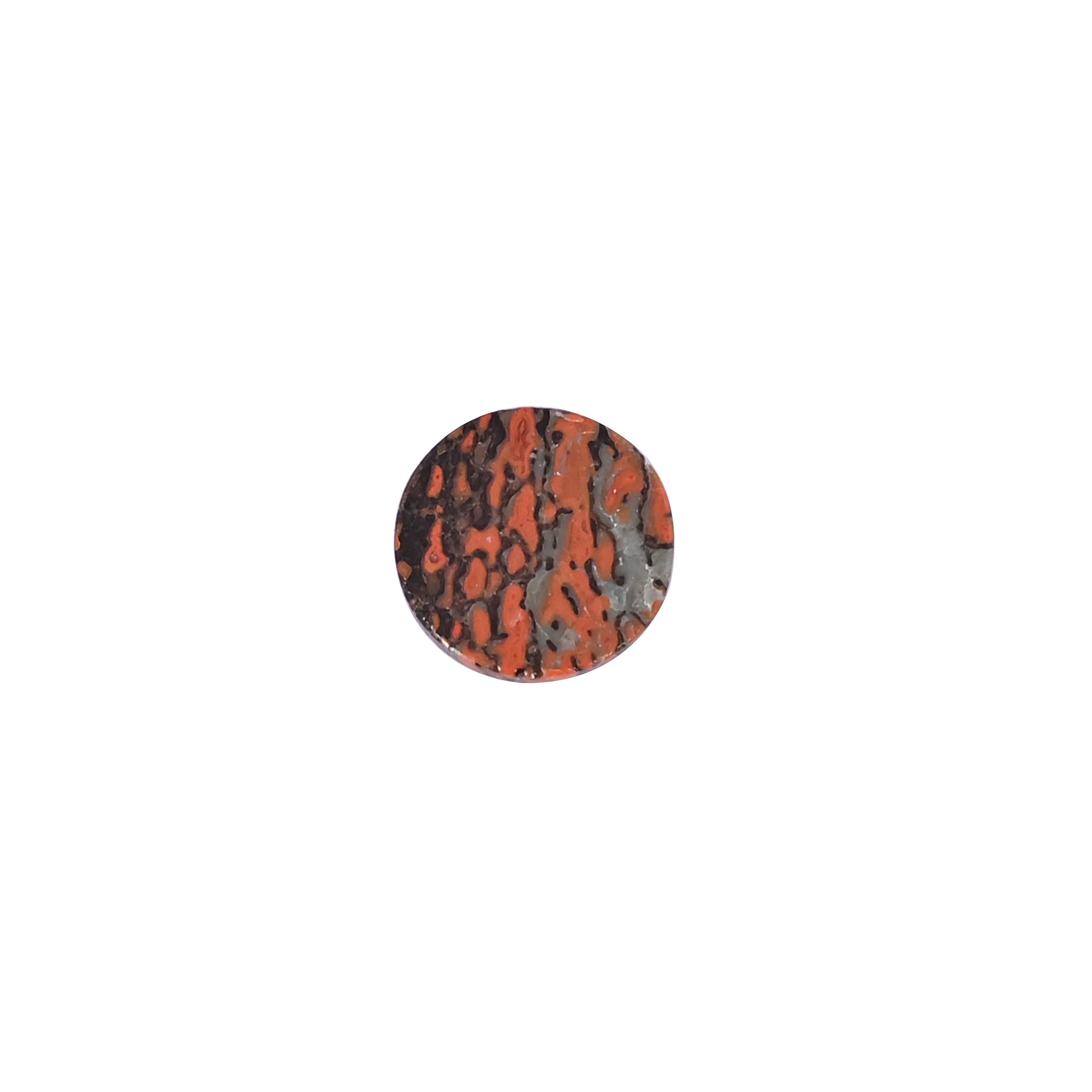 Dinosaur Bone 64 Carat 14mm Round Shape Loose Gemstone