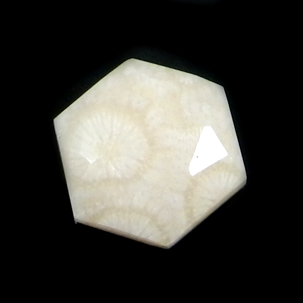 Bumble Bee Jasper 12x12mm Hexagon Rose Cut Loose Gemstone