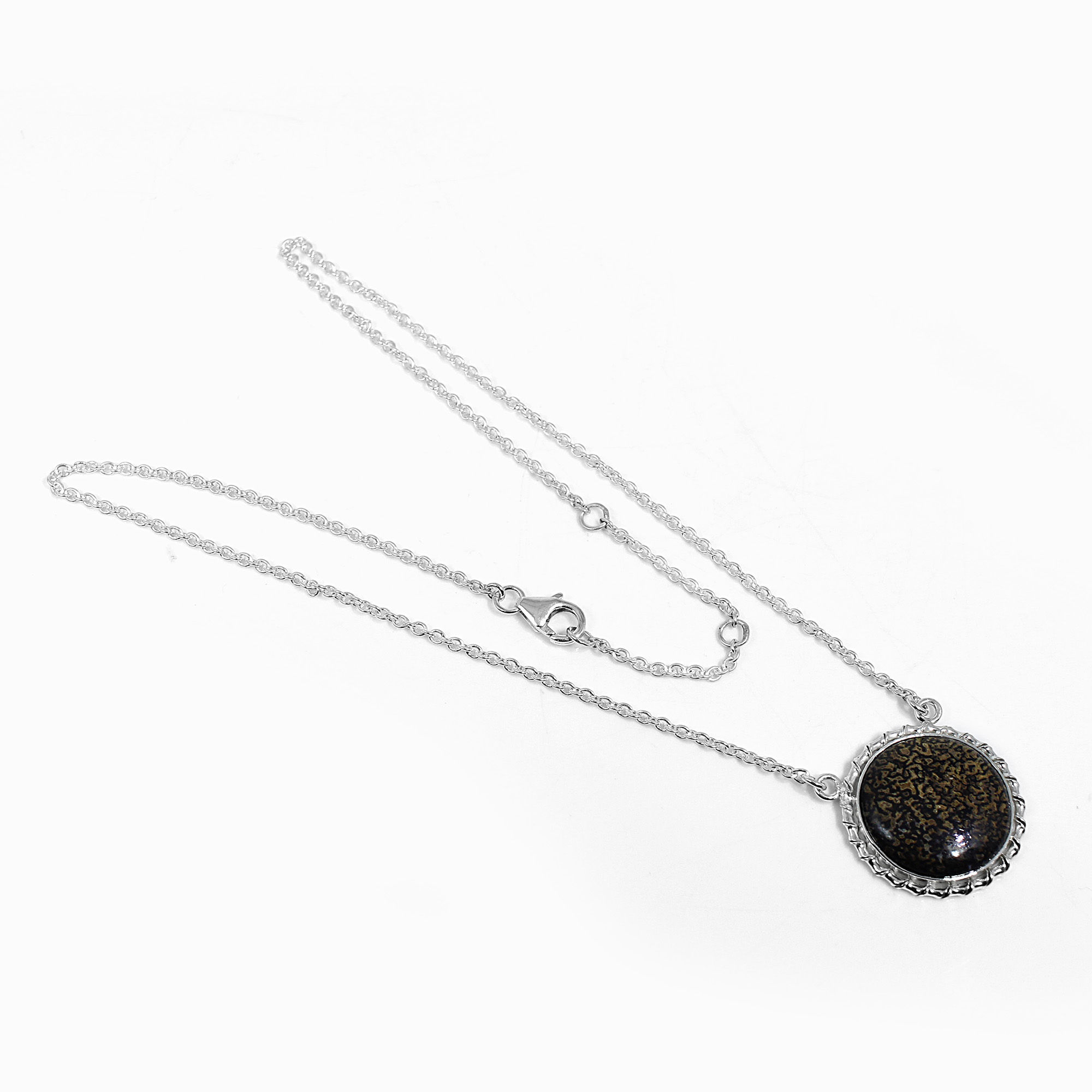 Dinosaur Bone Silver Chain Necklace